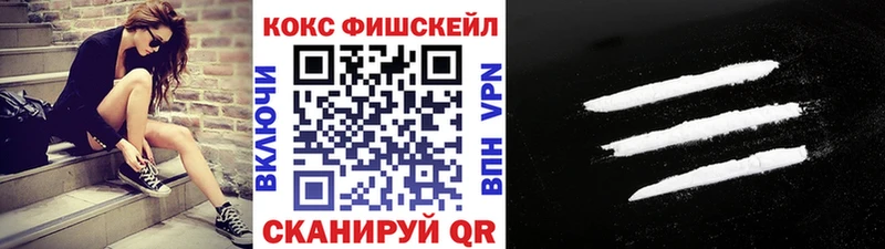 Купить закладки  Вязьма  Cocaine FishScale 