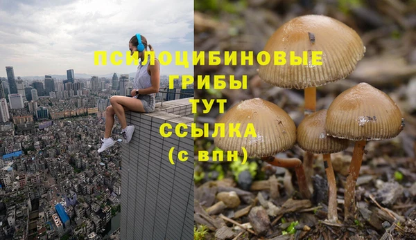 соль ск Бугульма