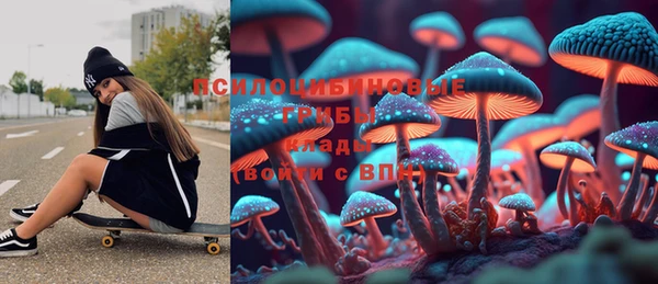 соль ск Бугульма